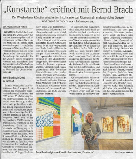 Artikel als PDF